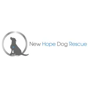 Logo for job Board of Director