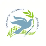Logo for job Volunteer: Vice President, Board of Directors