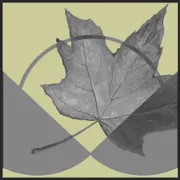 Logo for job Senior Researcher - Errol Black Chair in Labour Issues