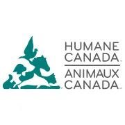 Volunteer Board Director