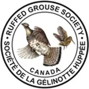 Volunteer Board Member, Website & Digital Media