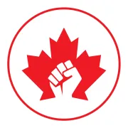 Head of Fundraising (Volunteer)