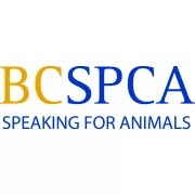 Logo for job Senior Officer, Events - Thompson, Okanagan and Kootenays (TOK)