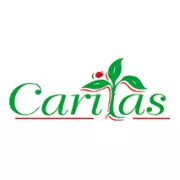 Caritas School of Life logo