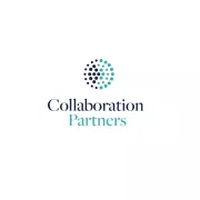 Logo for job Consulting Team Member (Volunteer)
