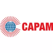 Commonwealth Association for Public Administration and Management logo