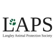 Logo for job Director of Finance