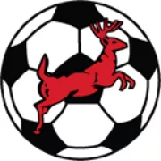Red Deer City Soccer Association logo