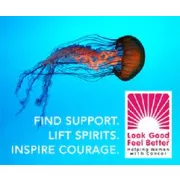 The Big Give (In Support of Look Good Feel Better) logo