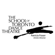 The School of TDT logo