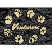 The Venturers Society logo