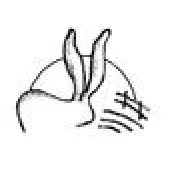 White Rabbit Child Care Centre logo