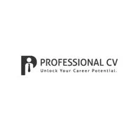Professional CV Ireland  picture