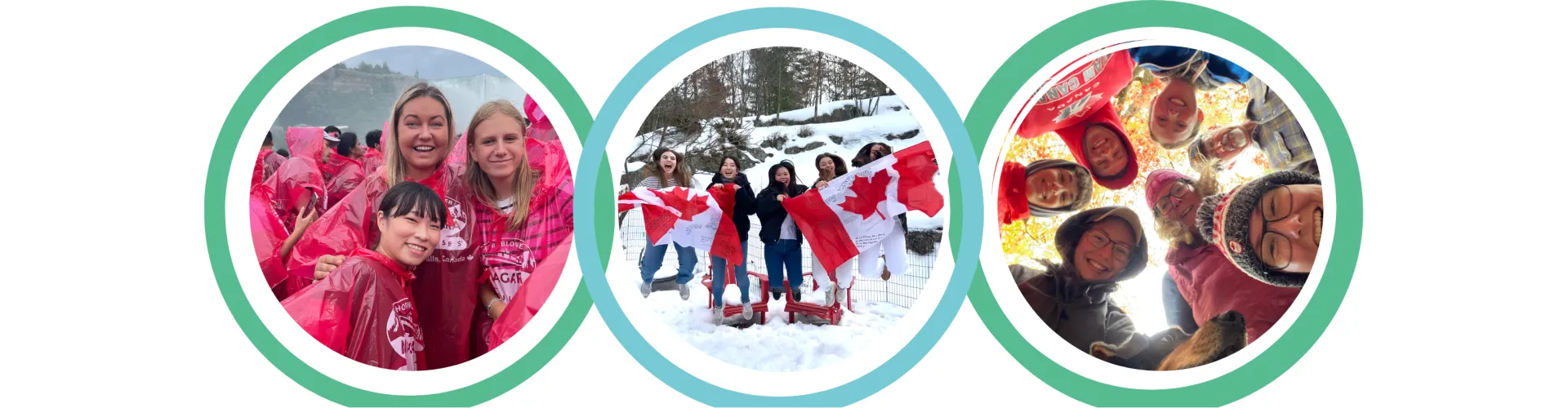 Canada Homestay Network cover
